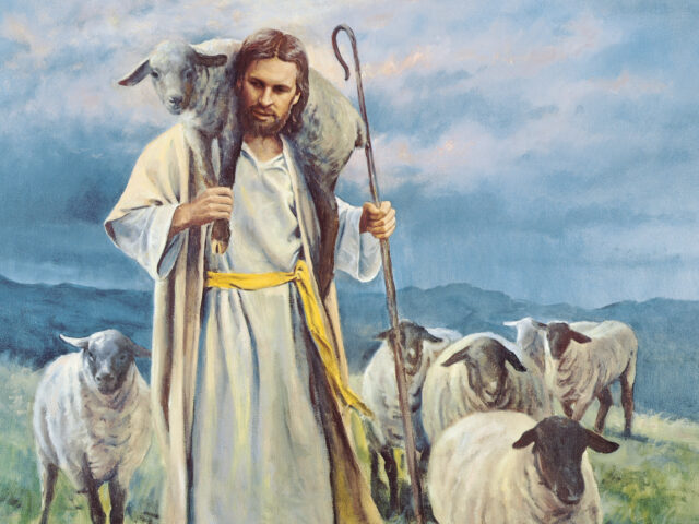 shepherd