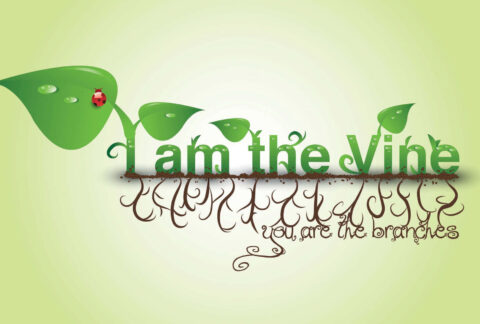 i-am-the-vine