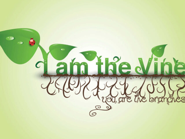 i-am-the-vine