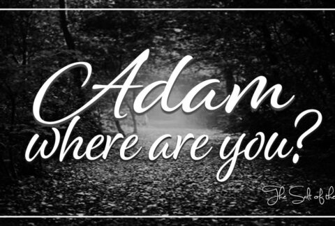 Adam-where-are-you