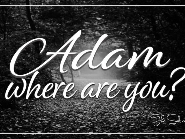 Adam-where-are-you